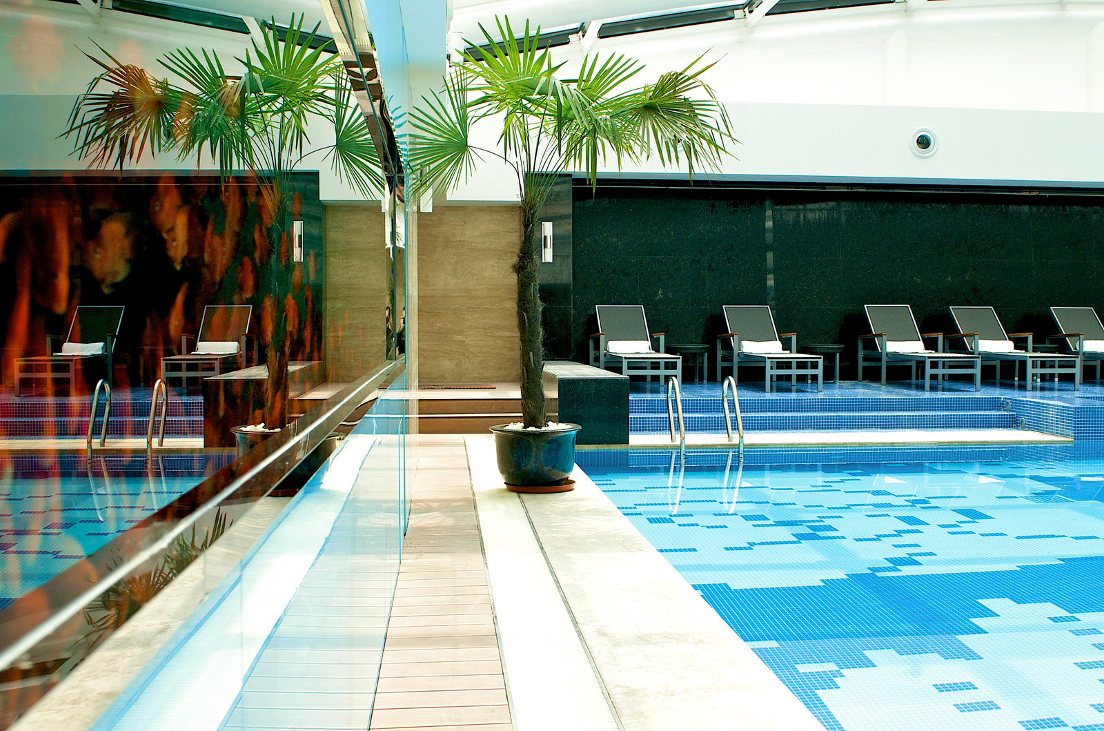 Millennium Hotel Chengdu — wellness