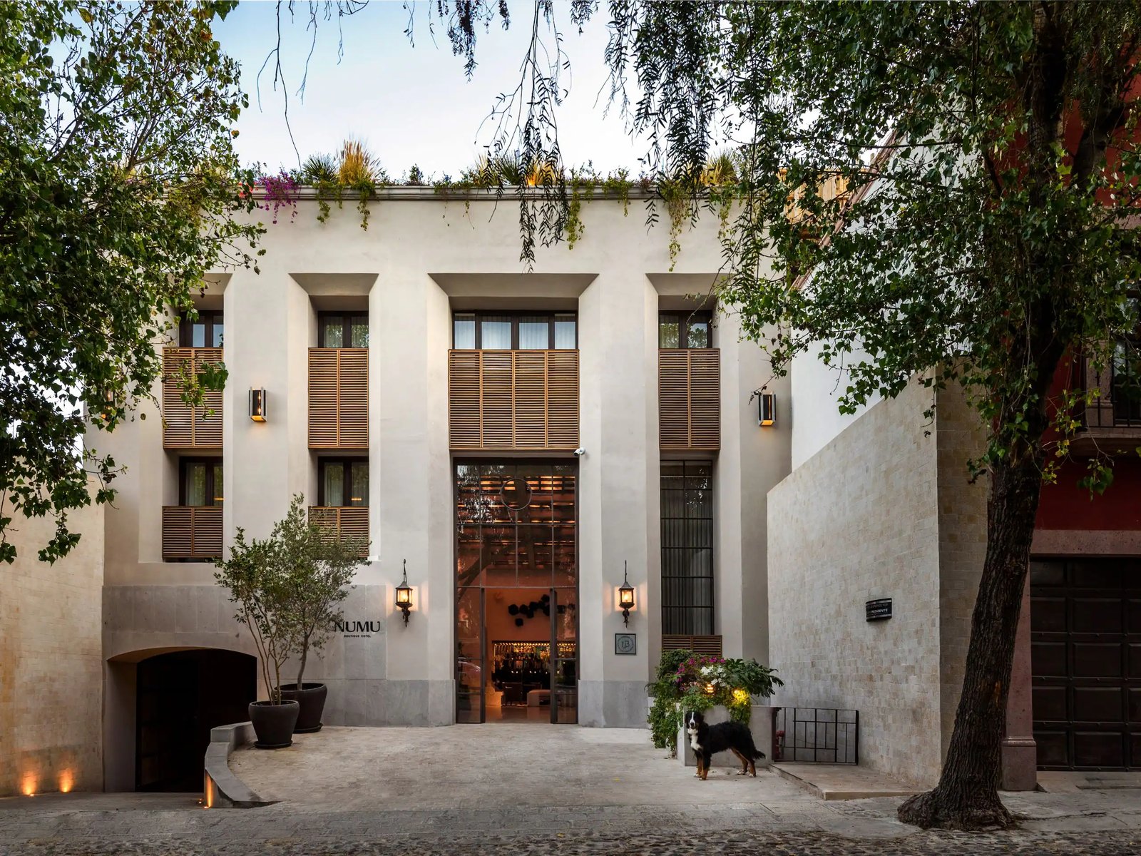 Numu Boutique Hotel San Miguel de Allende - The Unbound Collection by Hyatt, how it began