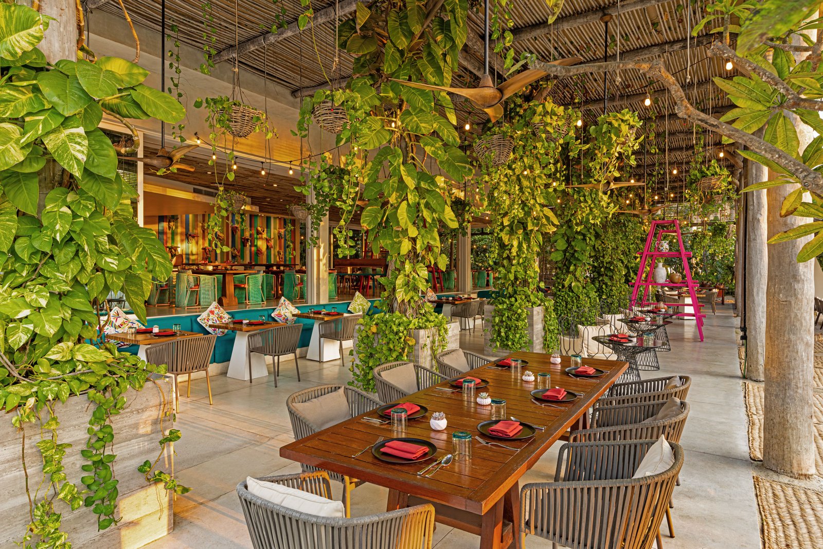 W Punta de Mita, at the table