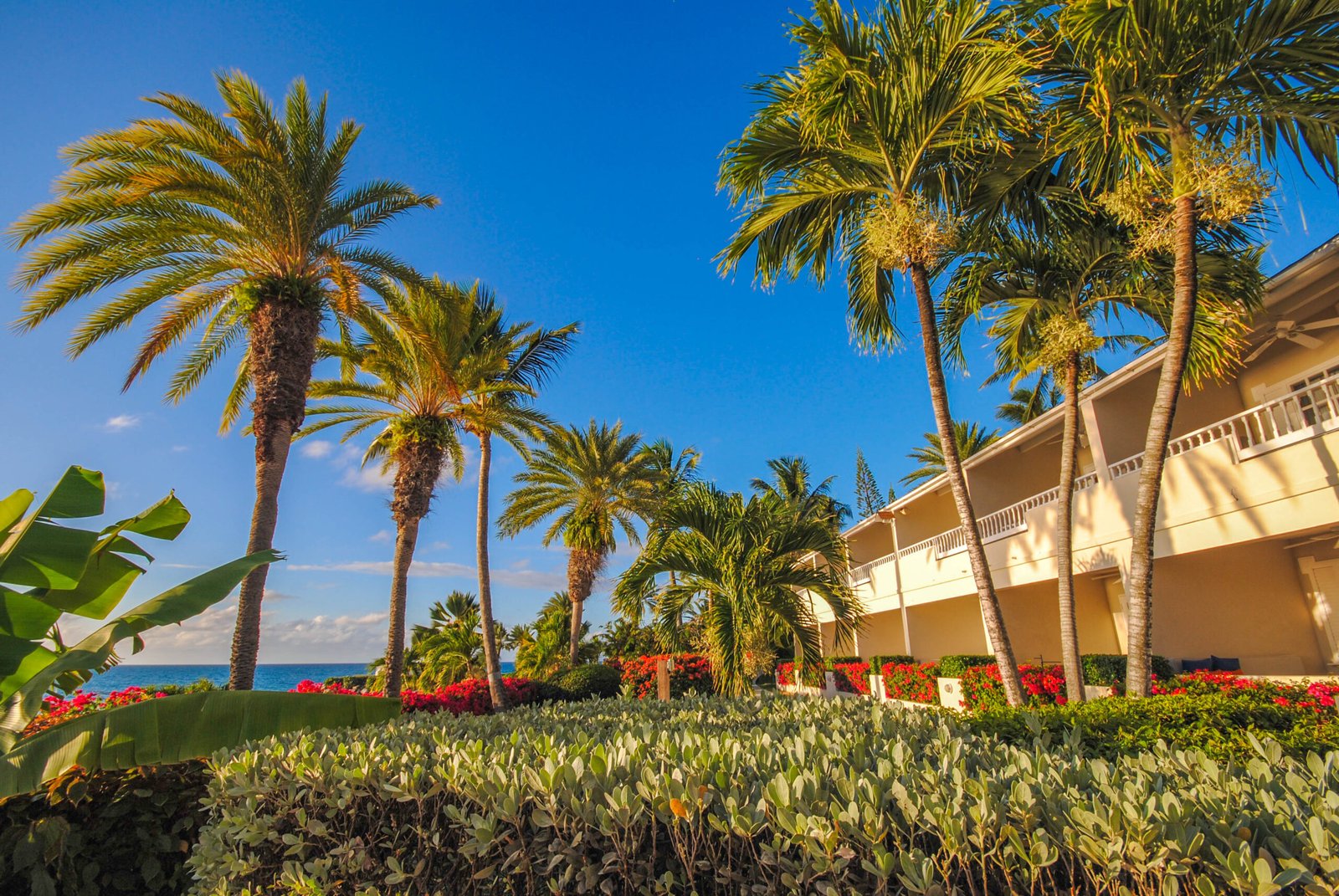 Blue Waters Resort and Spa, how it began