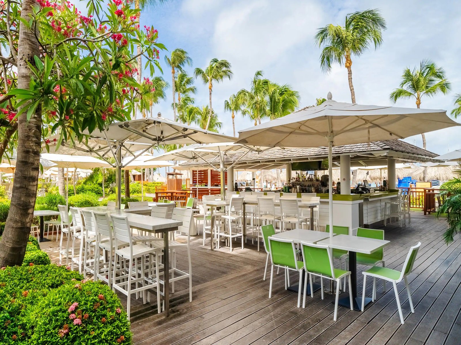 Hyatt Regency Aruba Resort Spa and Casino, at the table