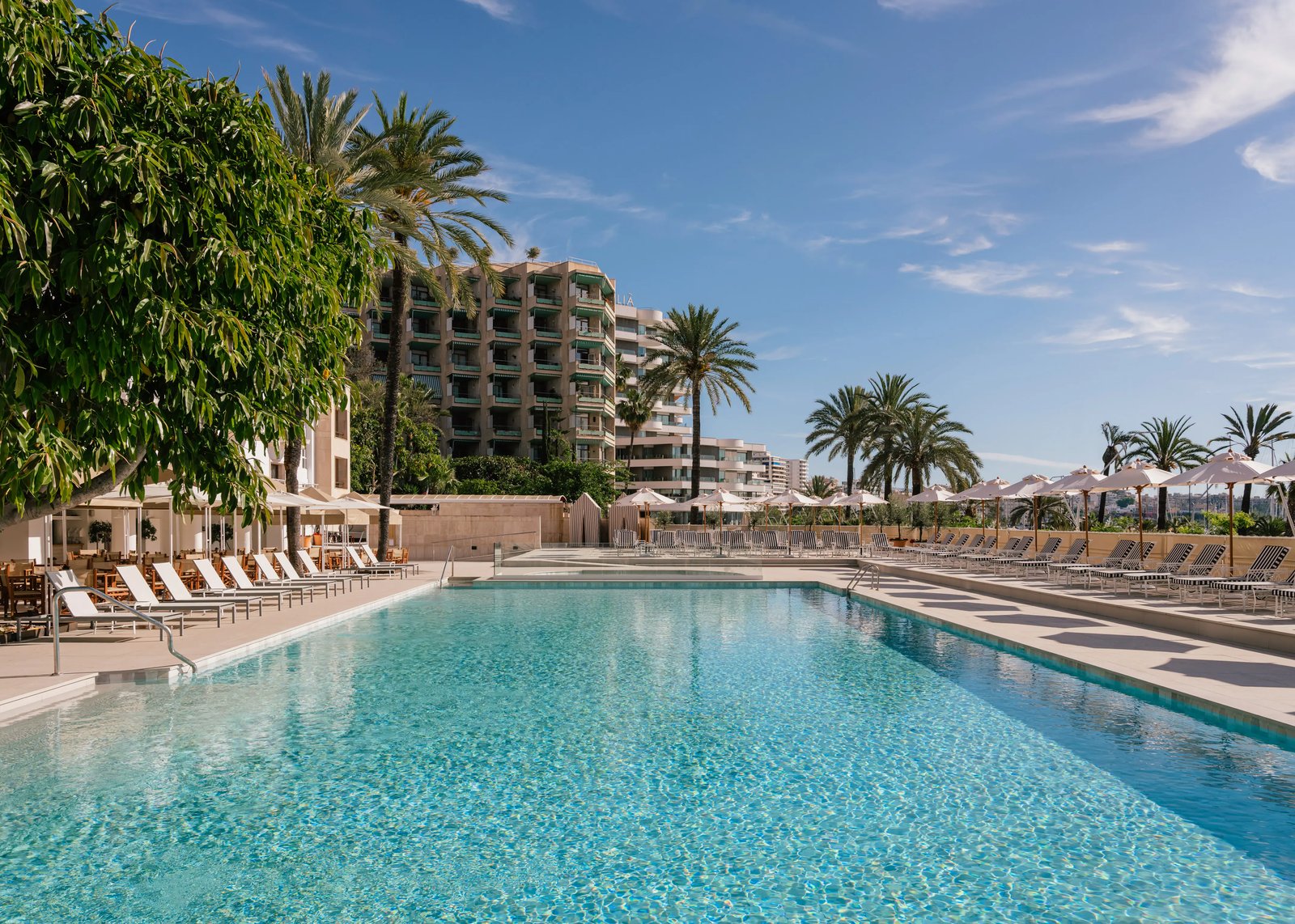 Hotel Victoria Gran Meliá, the pool