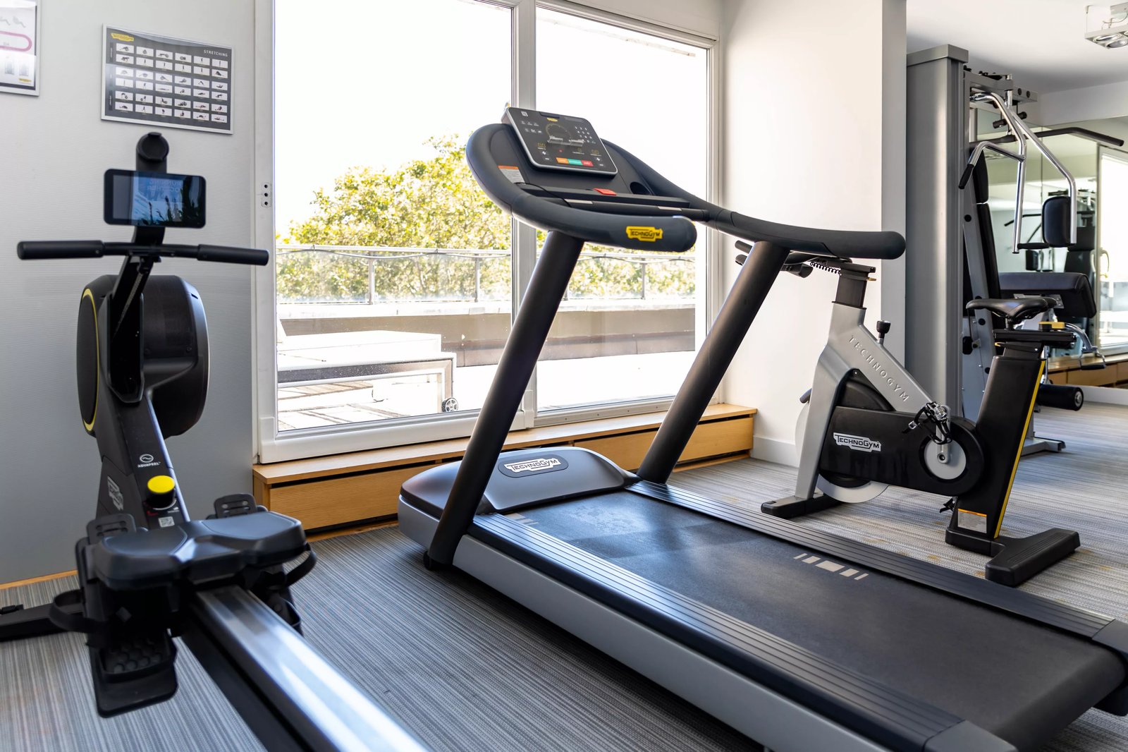 Sofitel Strasbourg Grande Île, the gym