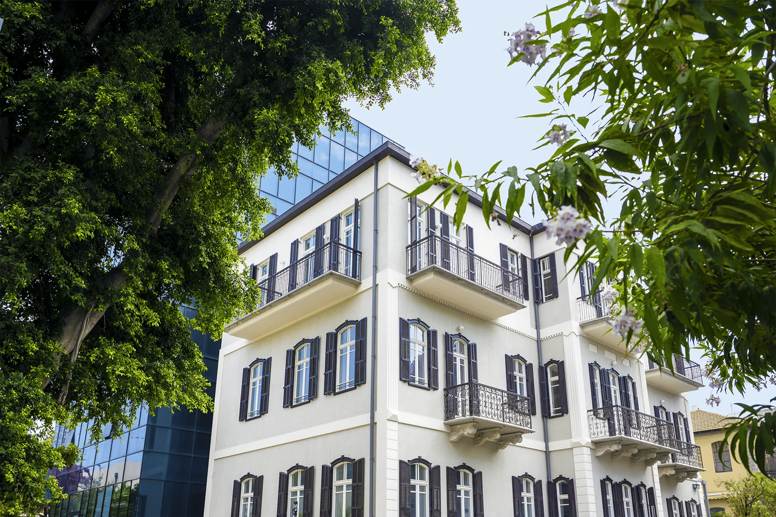 Elkonin Tel Aviv Hotel - MGallery Hotels Collection, how it began
