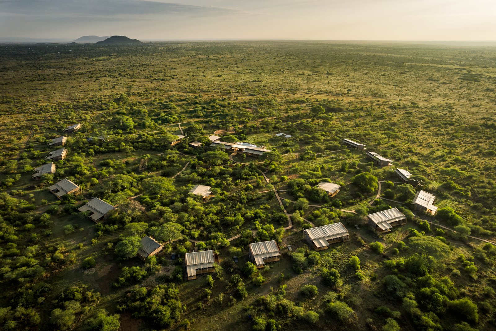 Mapito Safari Camp, Serengeti, Autograph Collection, how it began