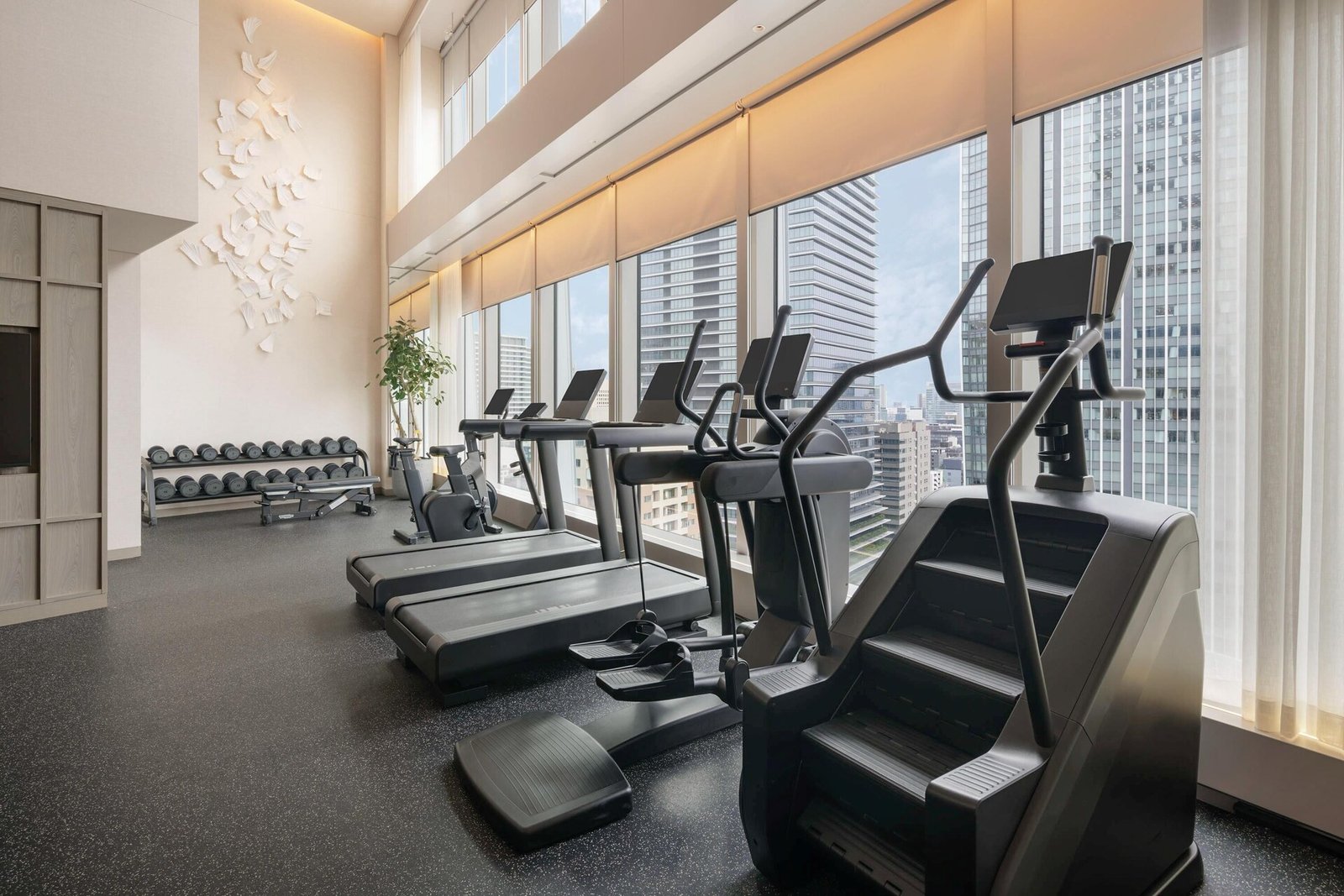 Hotel Toranomon Hills - The Unbound Collection by Hyatt, the gym