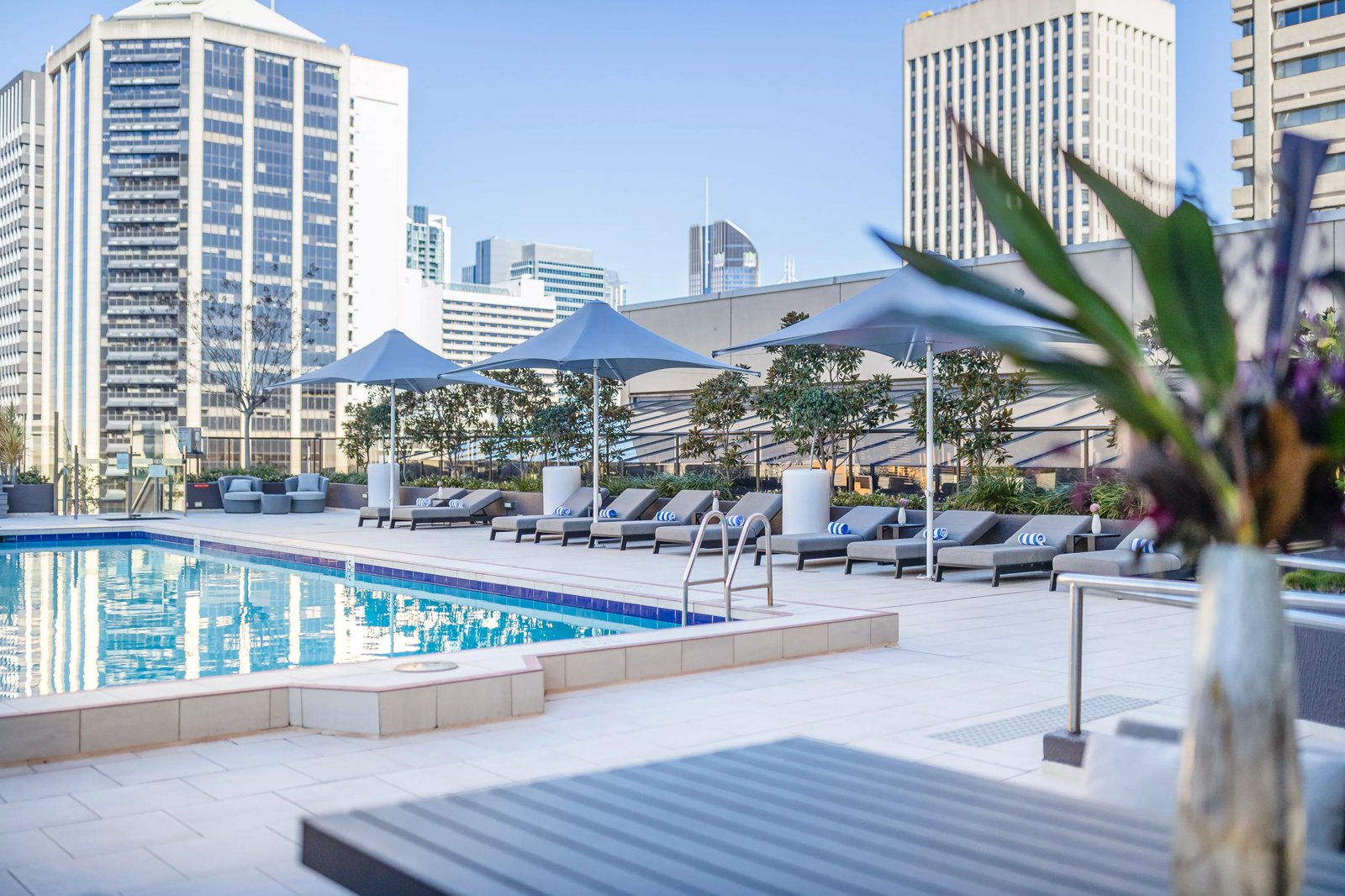 Sofitel Brisbane Central