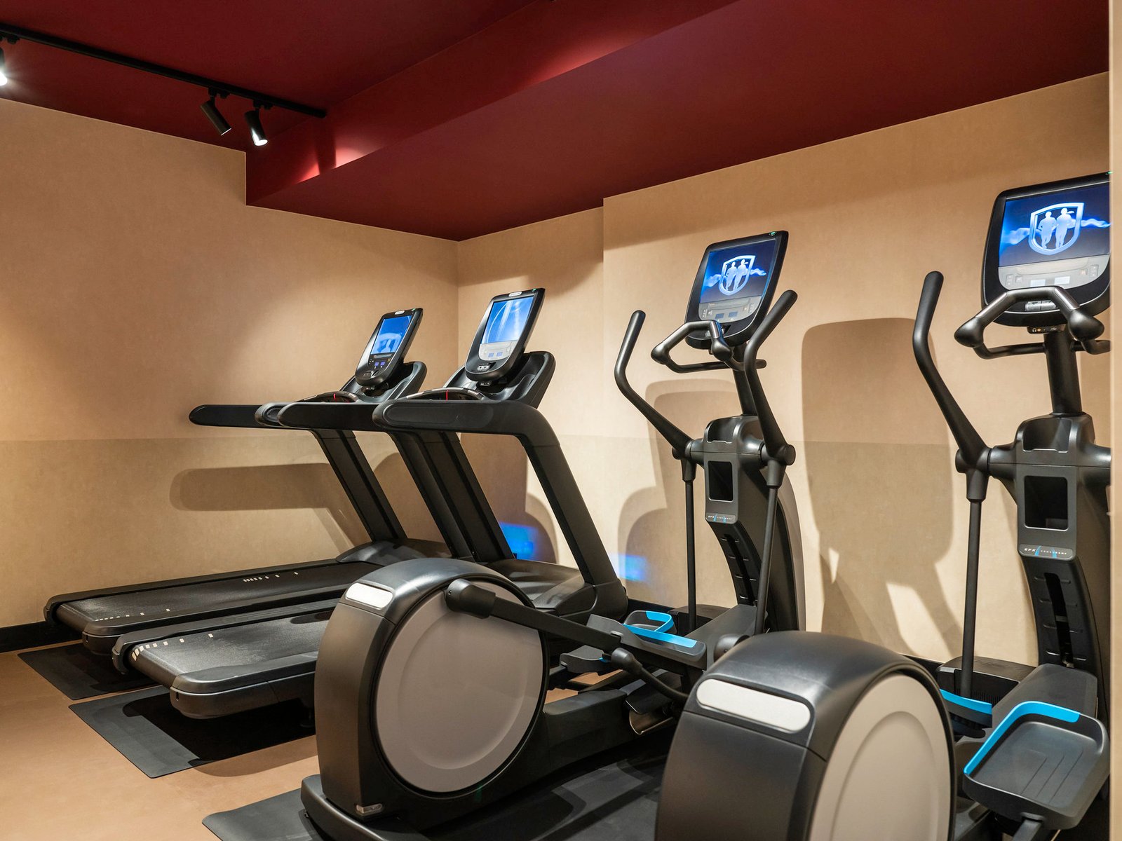 Tribe Amsterdam City, the gym