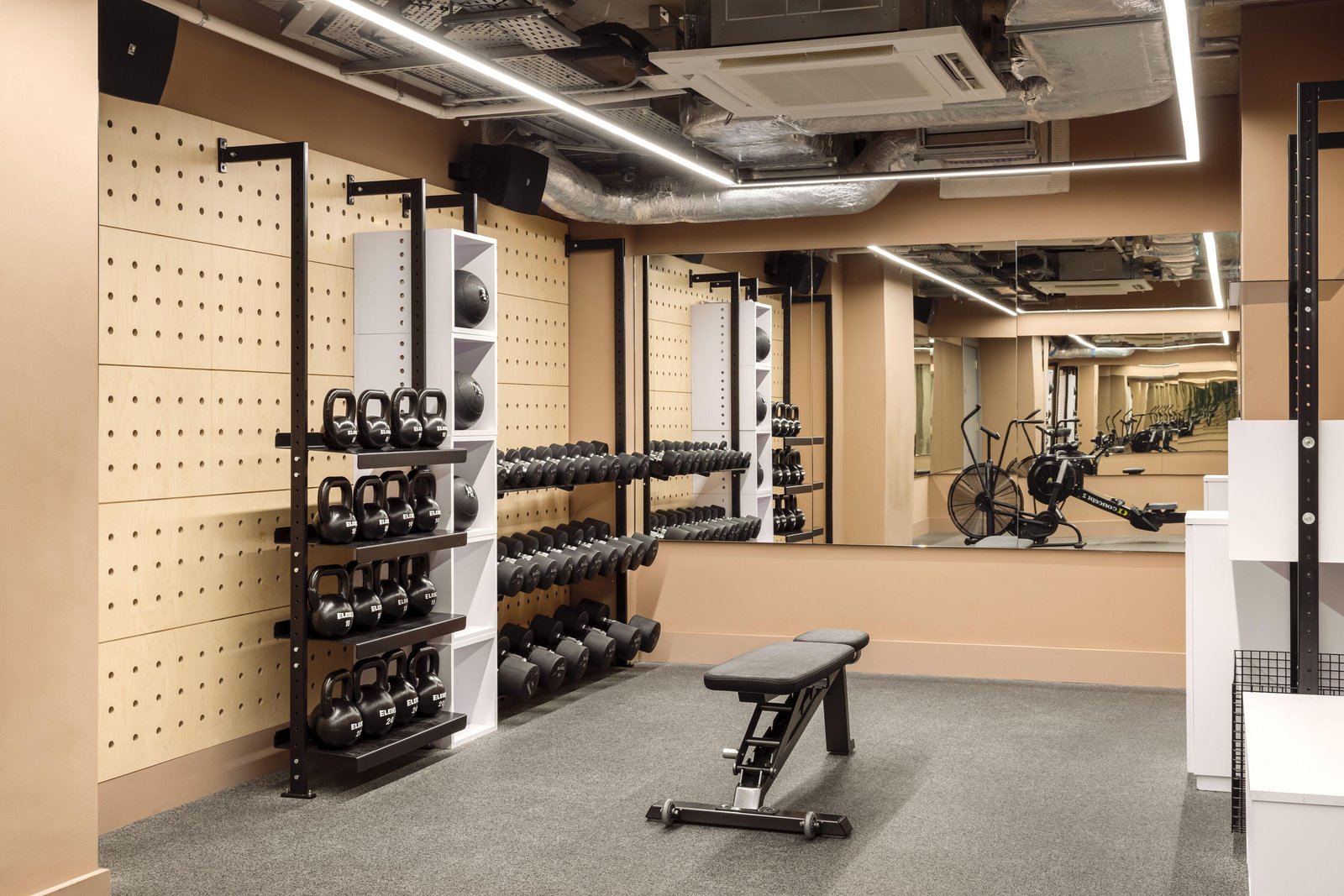 Zanzibar Locke, the gym