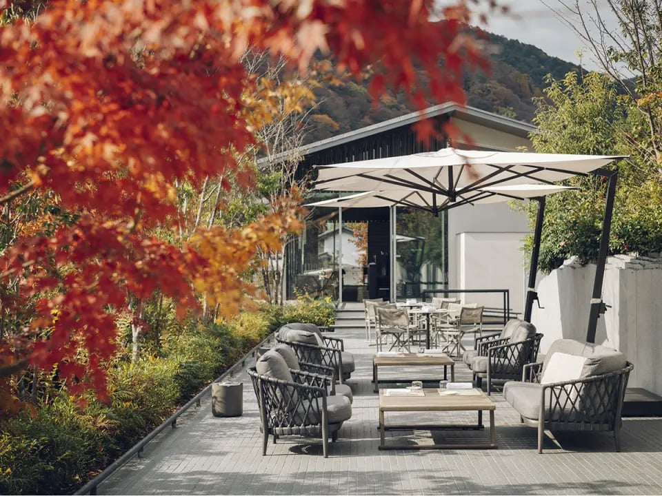MUNI Kyoto, at the table
