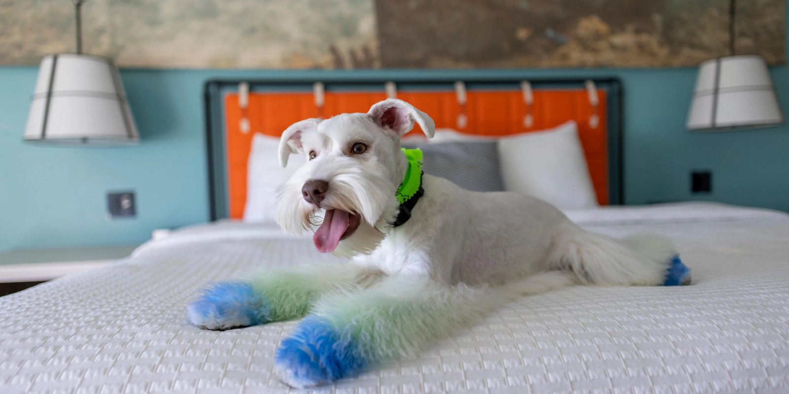 Hotel Indigo Orange Beach - Gulf Shores by IHG