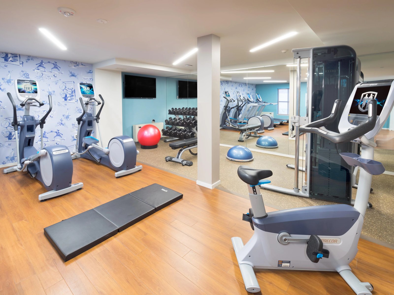 Hotel Indigo Old Town Alexandria by IHG, the gym