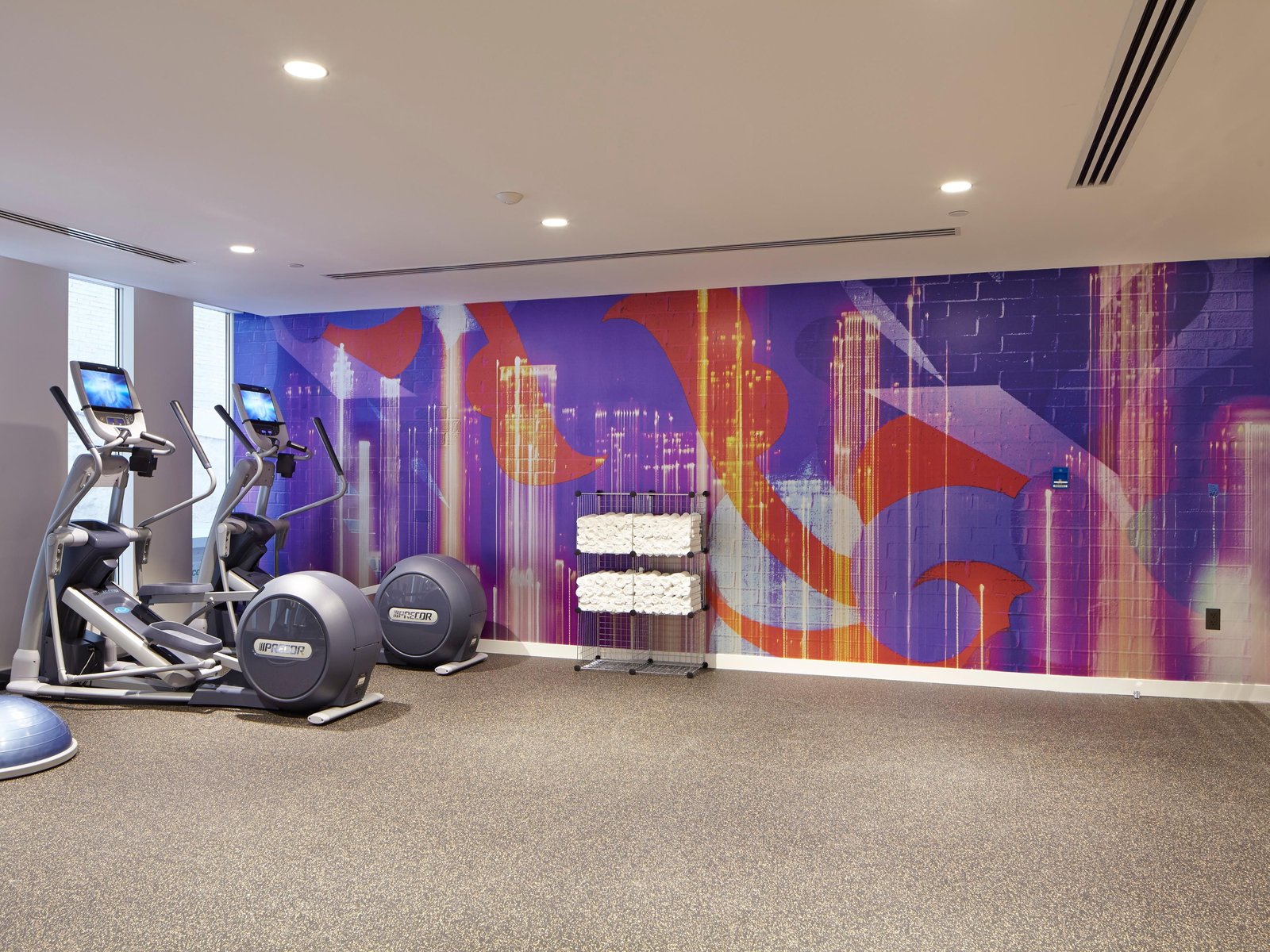 Hotel Indigo Atlanta Downtown, an IHG Hotel, the gym