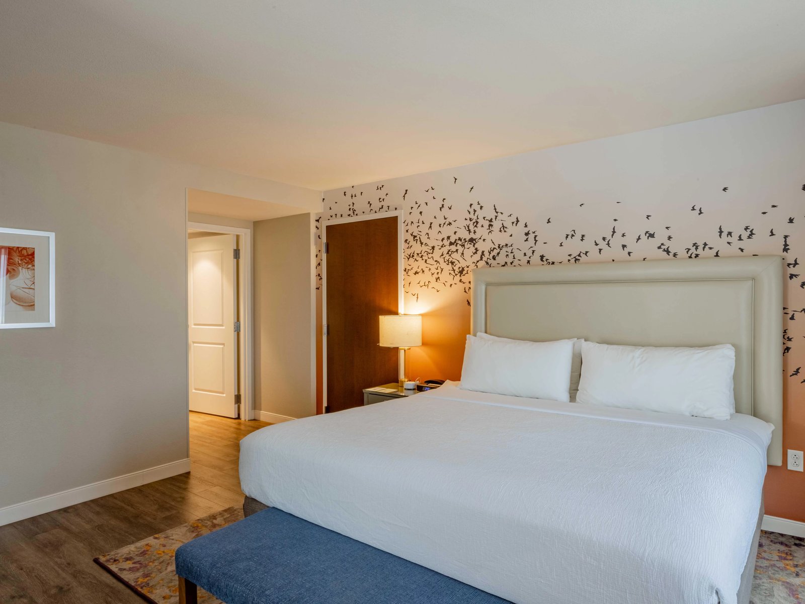 Hotel Indigo Austin Downtown - University by IHG, rooms