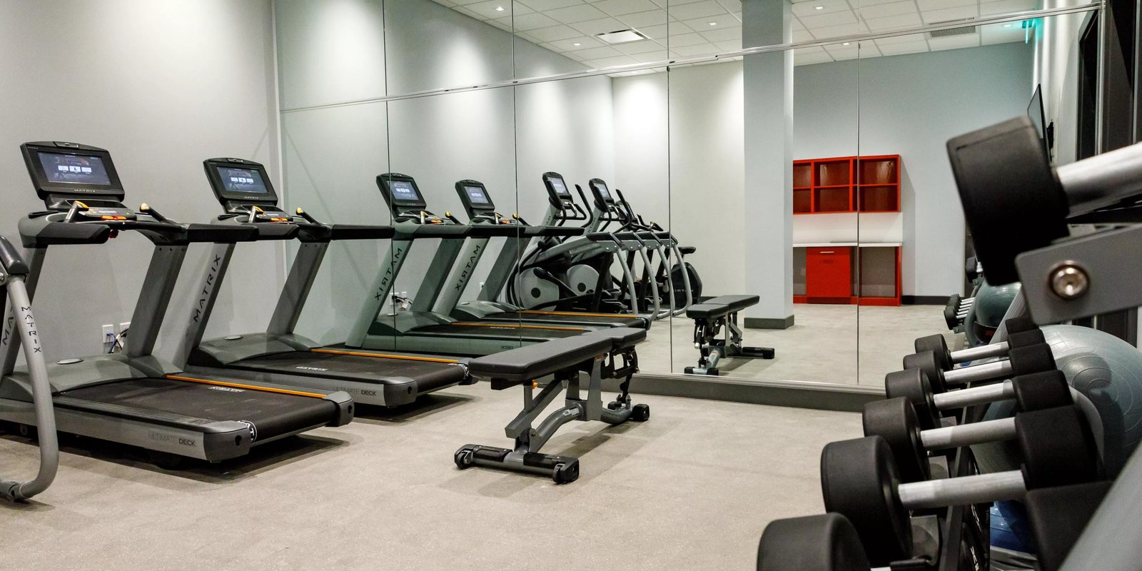 Hotel Indigo St. Louis - Downtown by IHG, the gym
