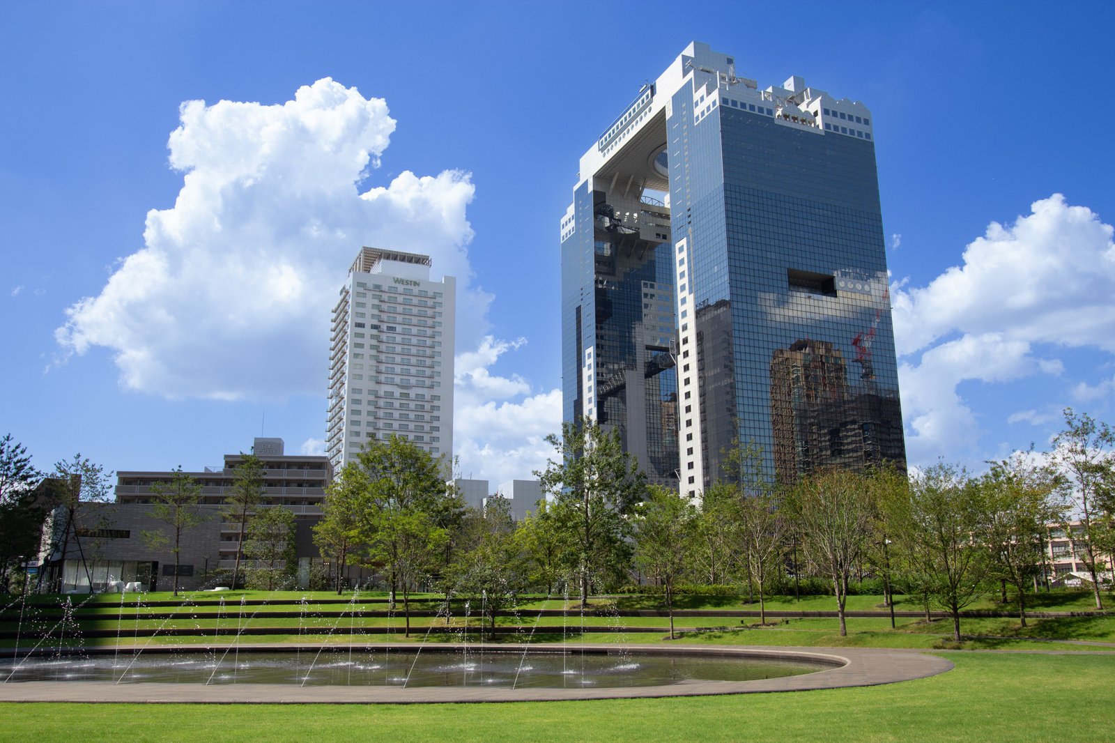 The Westin Osaka — backstory