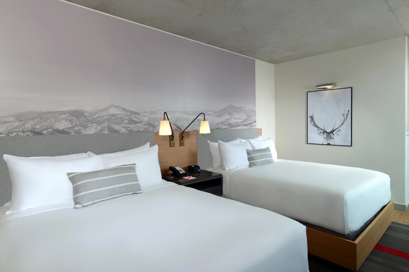 Hotel Indigo Denver Downtown-Union Station by IHG, rooms