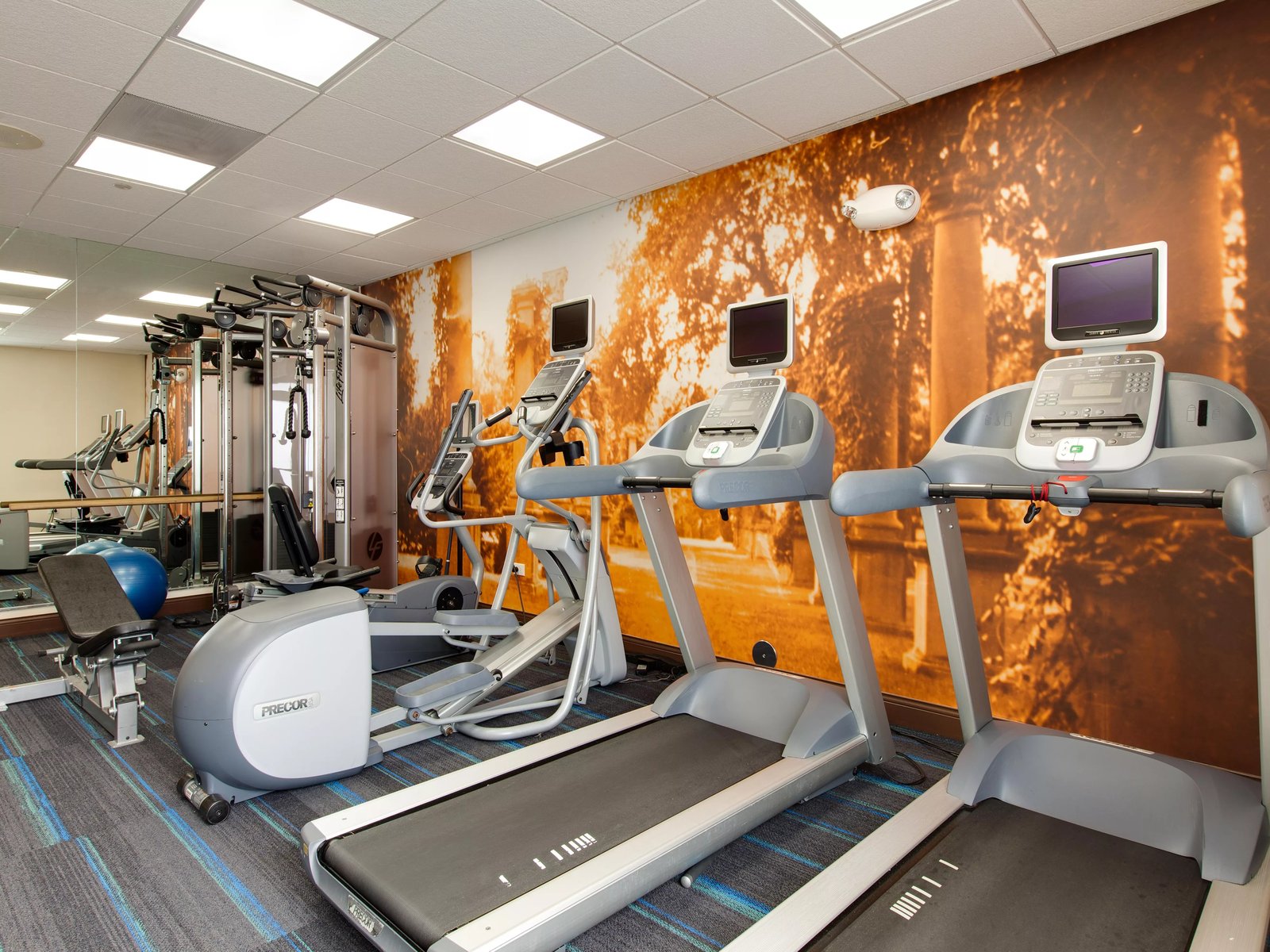 Hotel Indigo Chicago-Vernon Hills by IHG, the gym