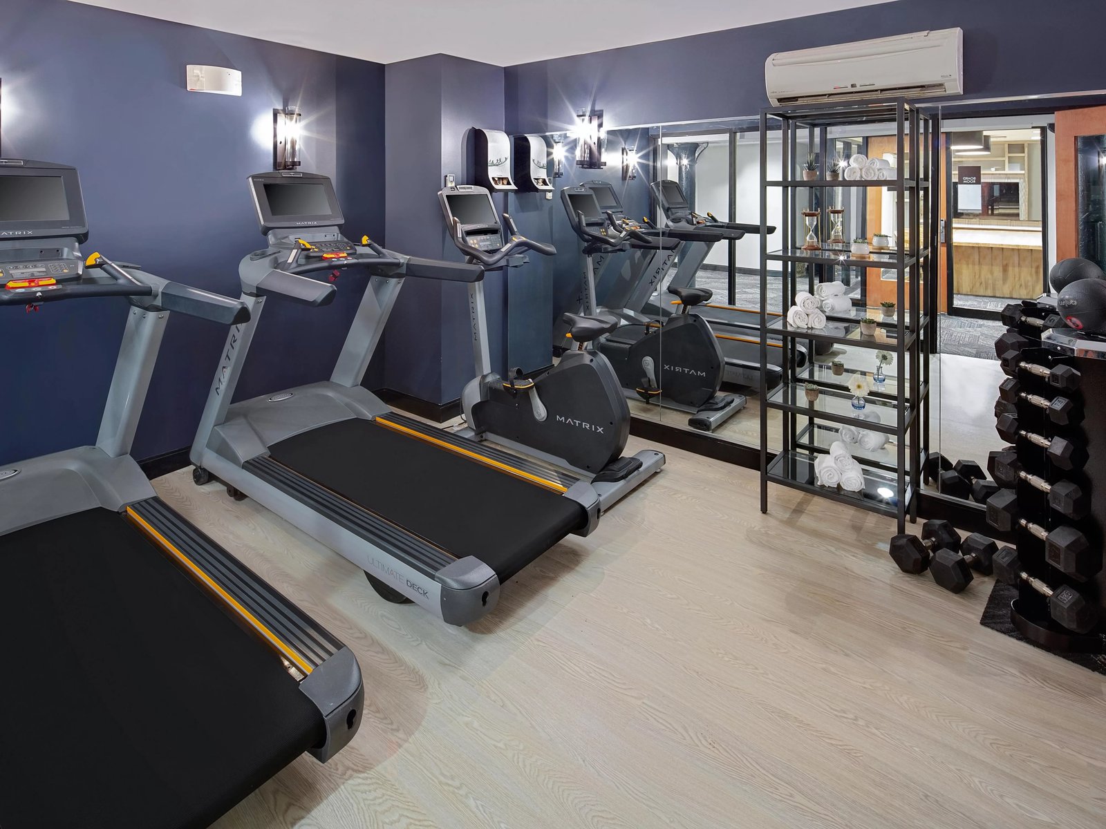 Hotel Indigo Boston Garden by IHG, the gym