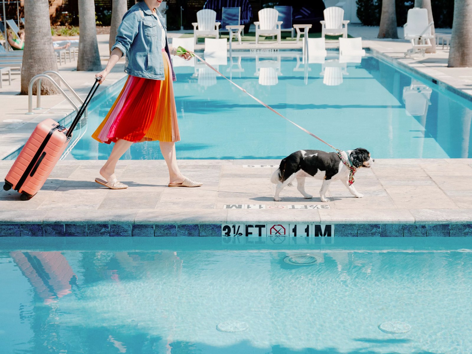 Hotel Indigo Mount Pleasant by IHG, the pool