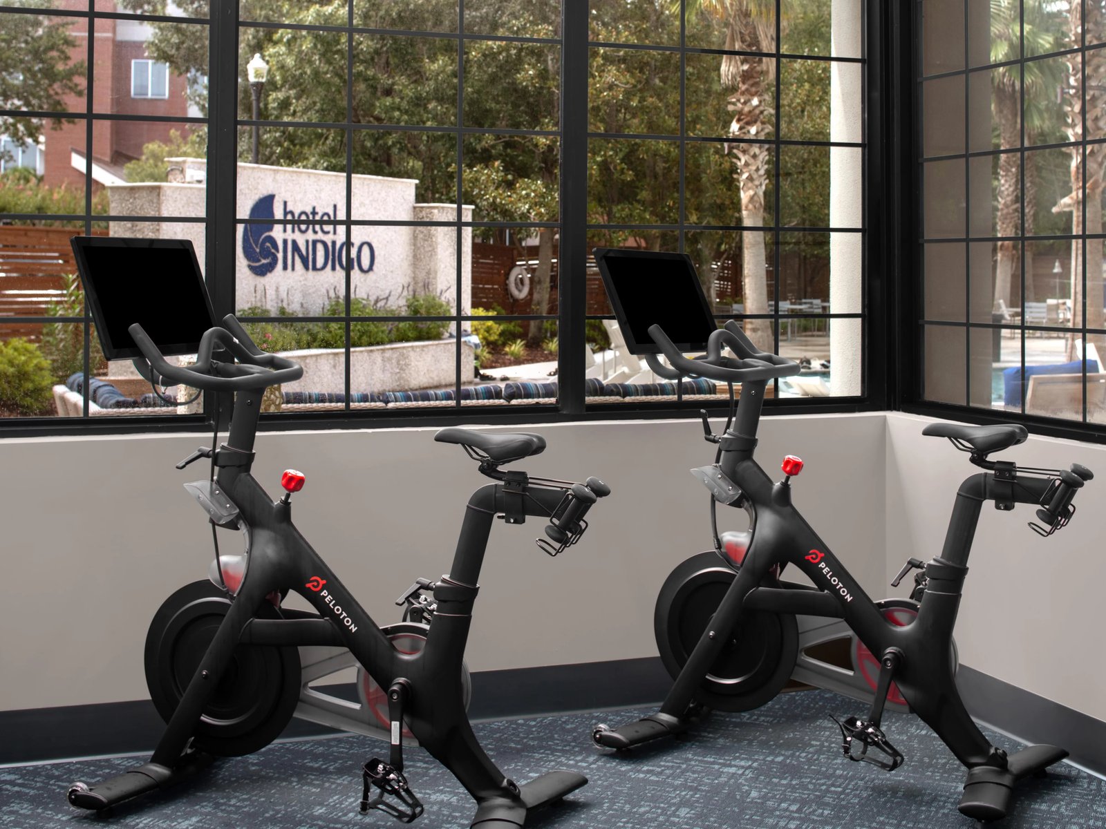 Hotel Indigo Mount Pleasant by IHG, the gym