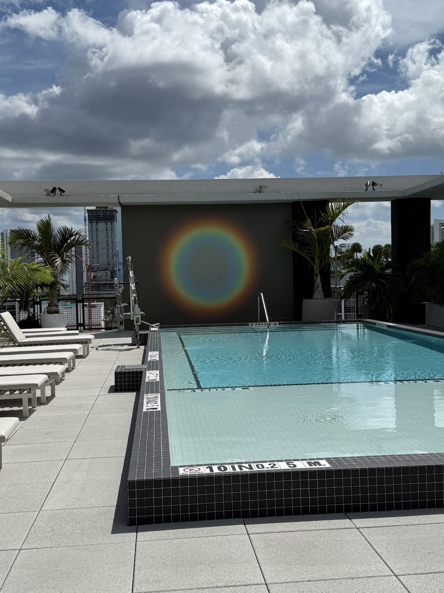 Moxy Miami Wynwood, the pool