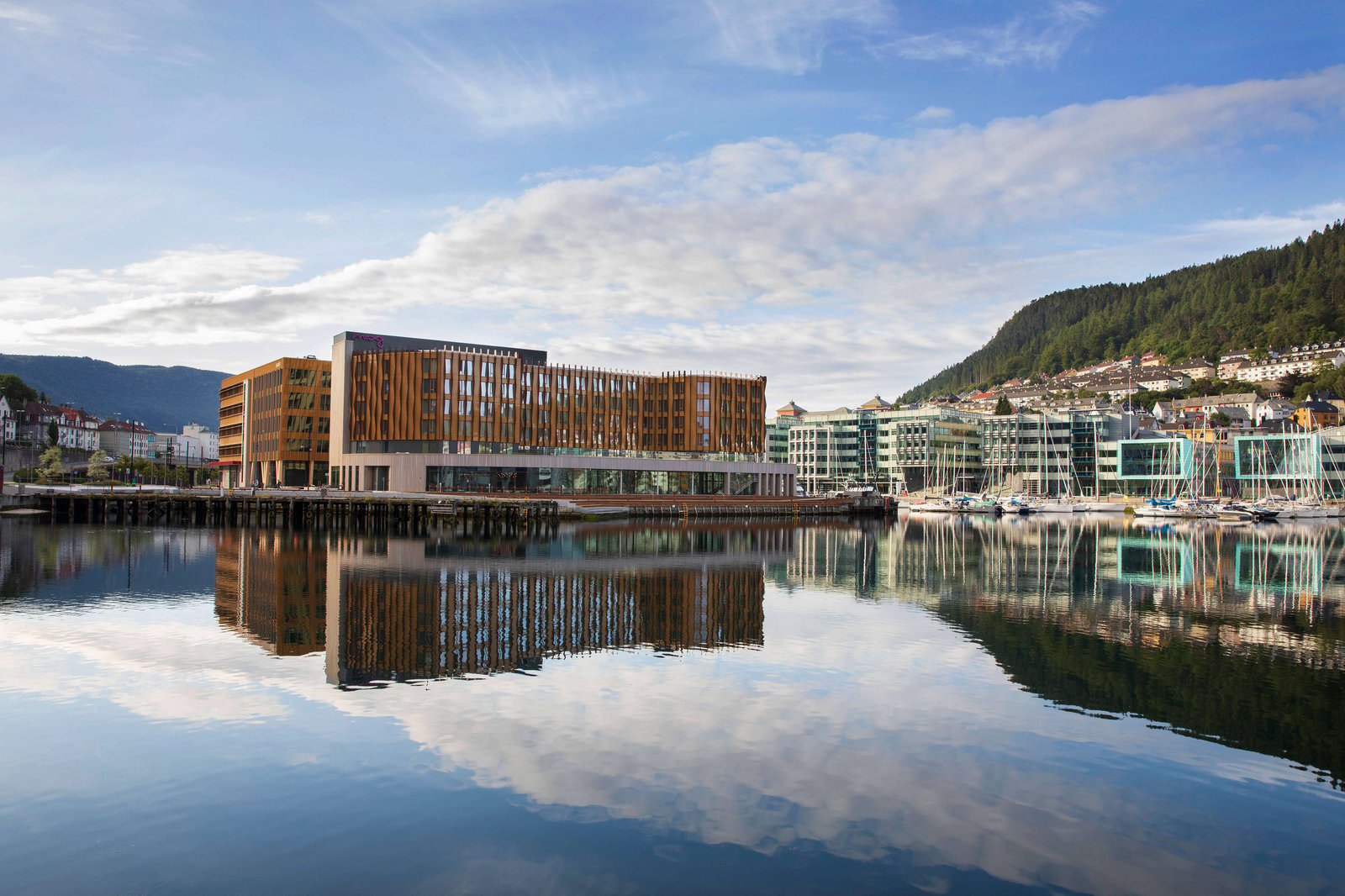 Moxy Bergen, how it began