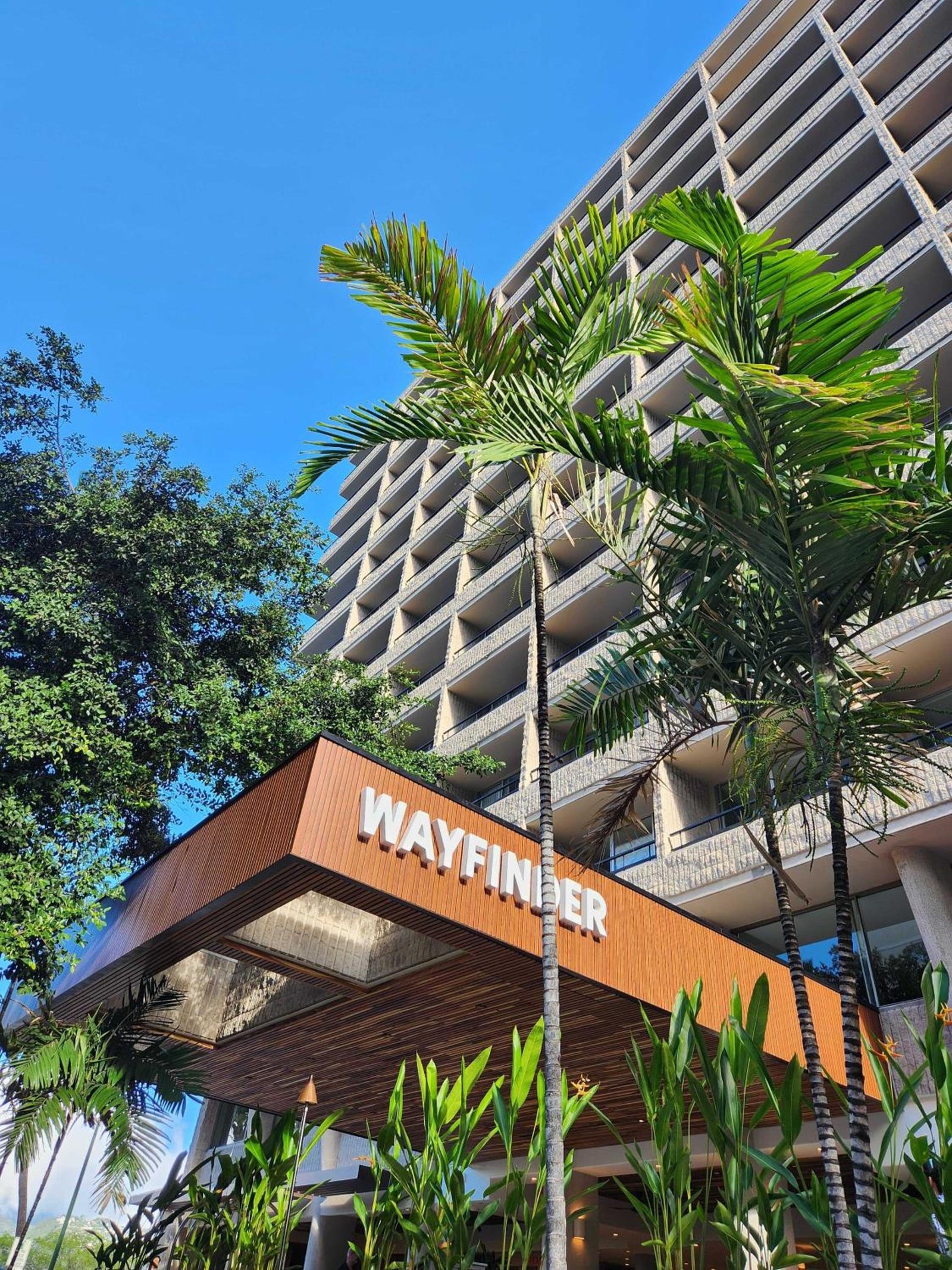 Wayfinder Waikiki — backstory
