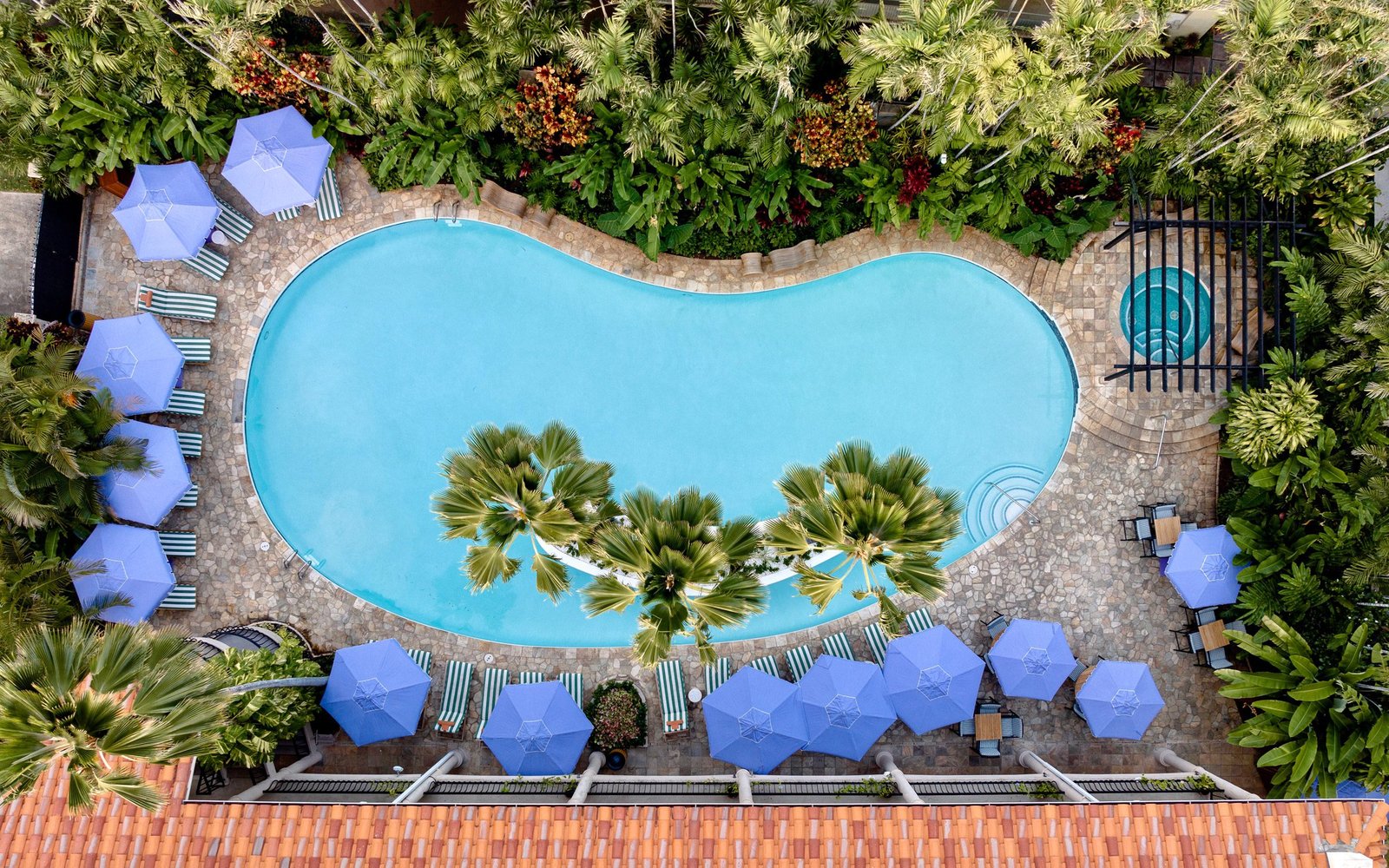 Wayfinder Waikiki — wellness