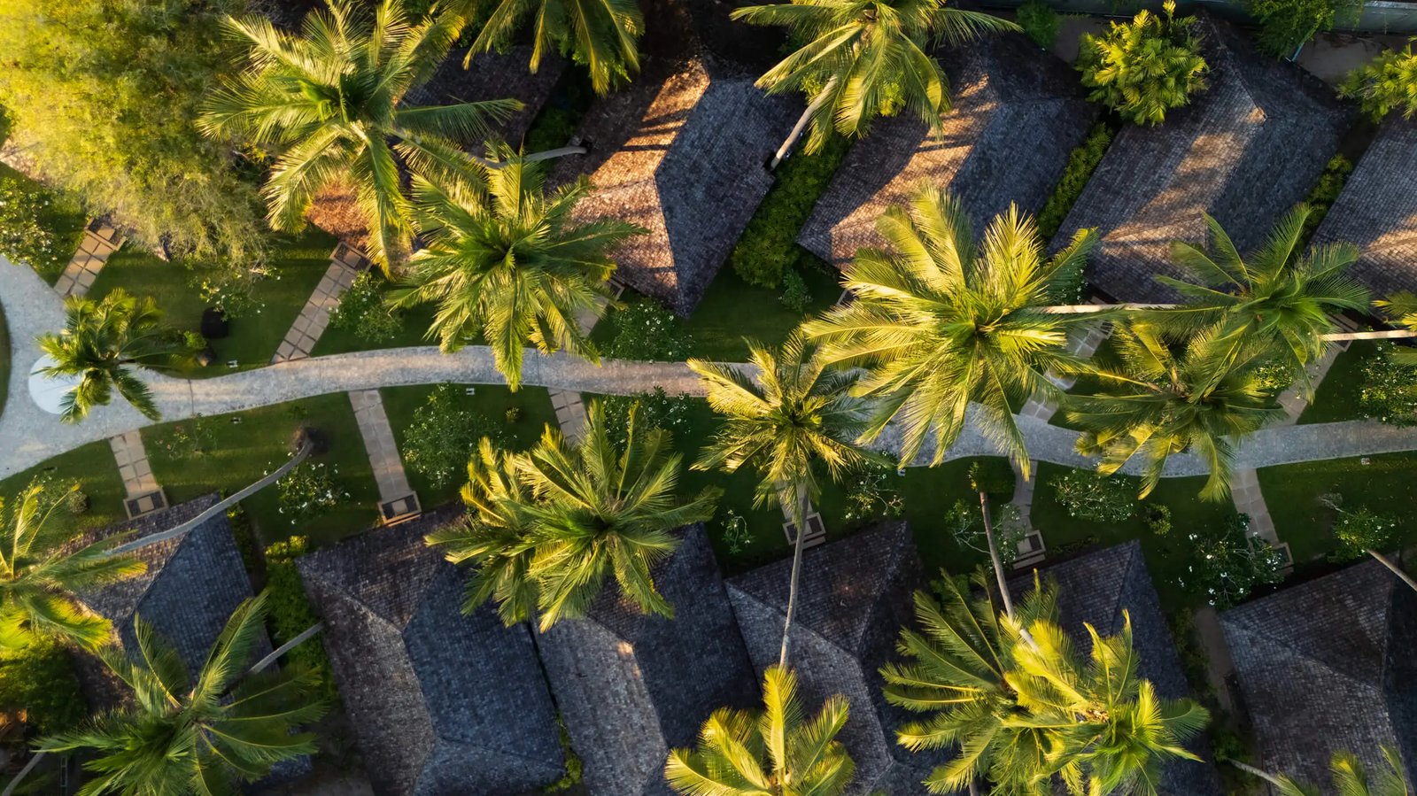 Nikki Beach Resort & Spa Koh Samui, how it began