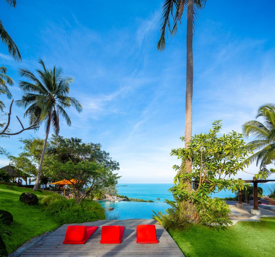 The Jungle Club, the pool