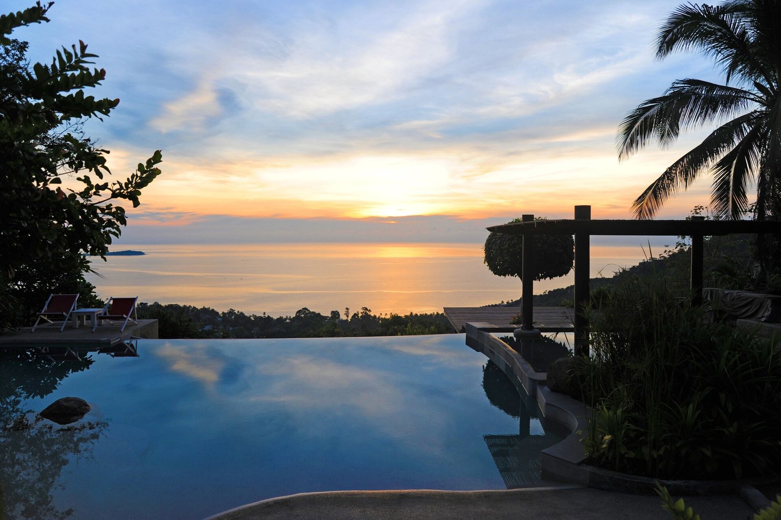 The Jungle Club, the pool
