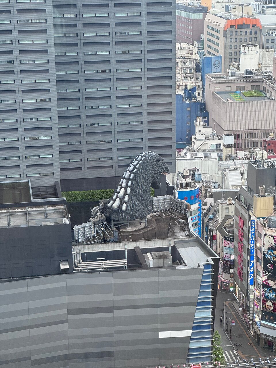 Hotel Groove Shinjuku — backstory