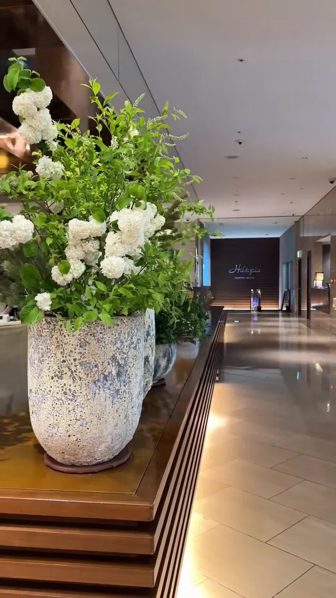 Hilton Tokyo — vibe