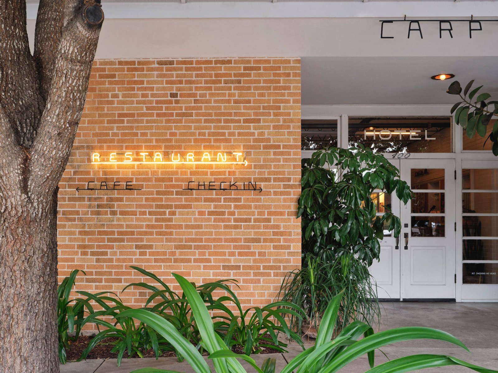 Carpenter Hotel — backstory