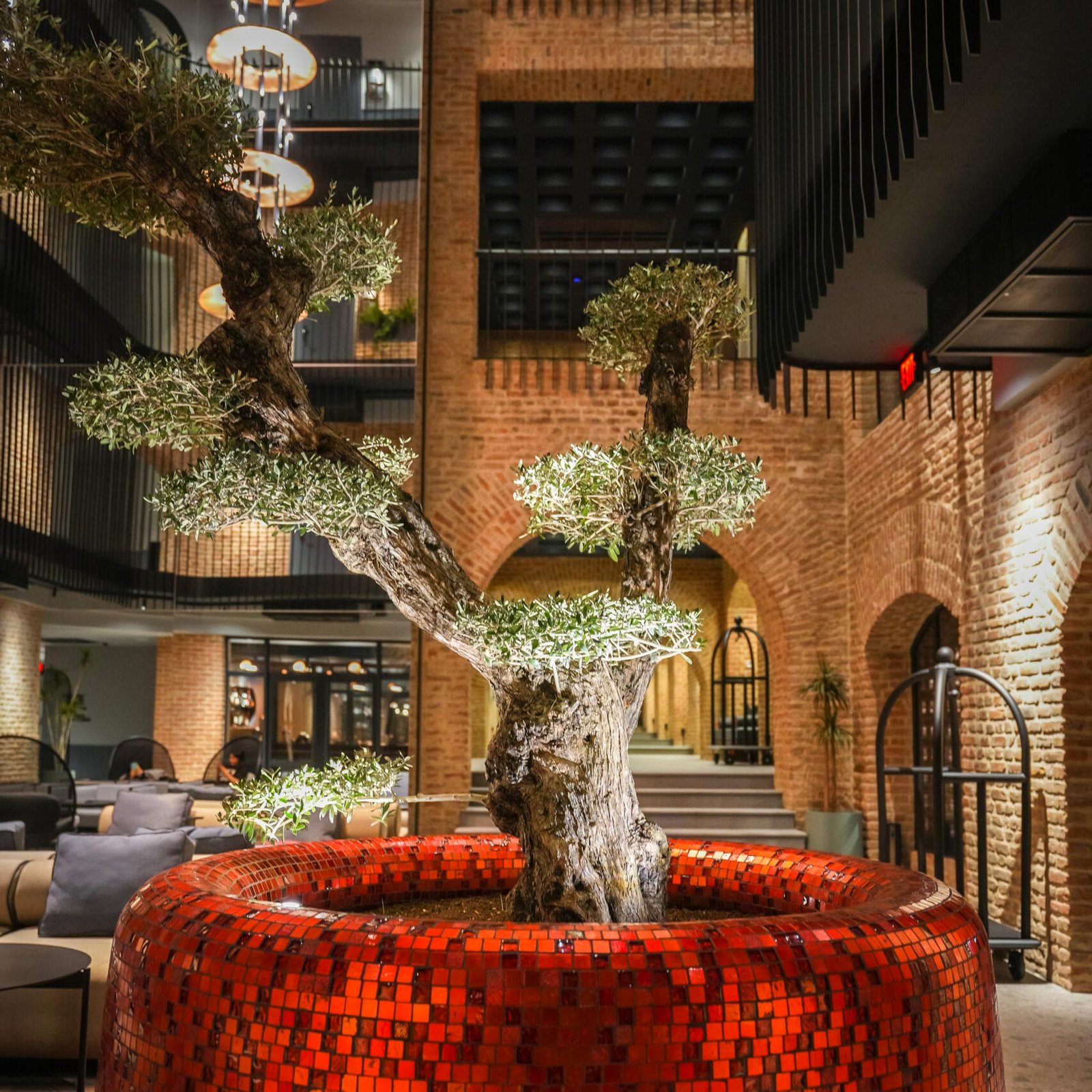 Communal Plekhanovi Hotel — vibe