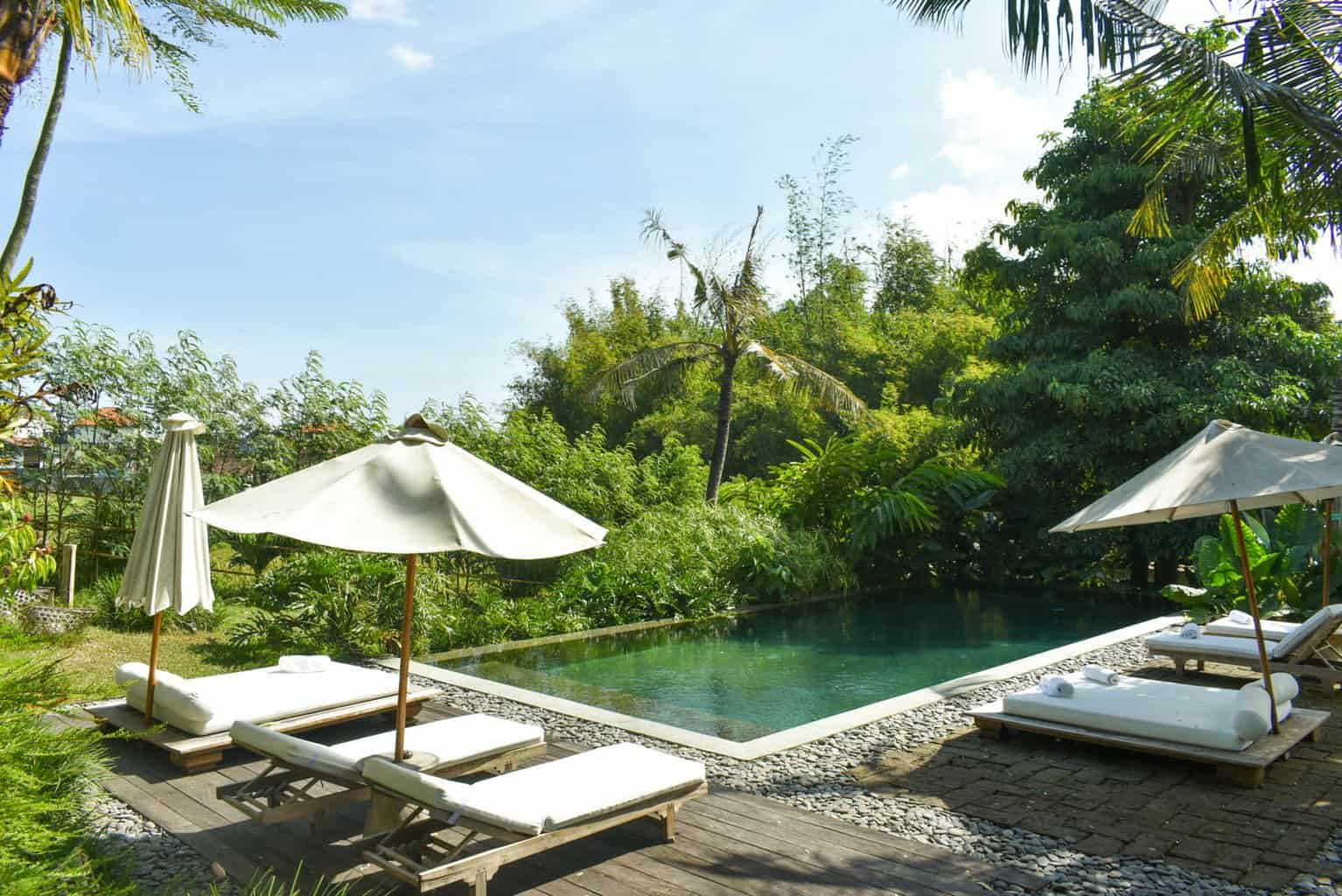 Kalapa Resort and Yoga Retreat — wellness