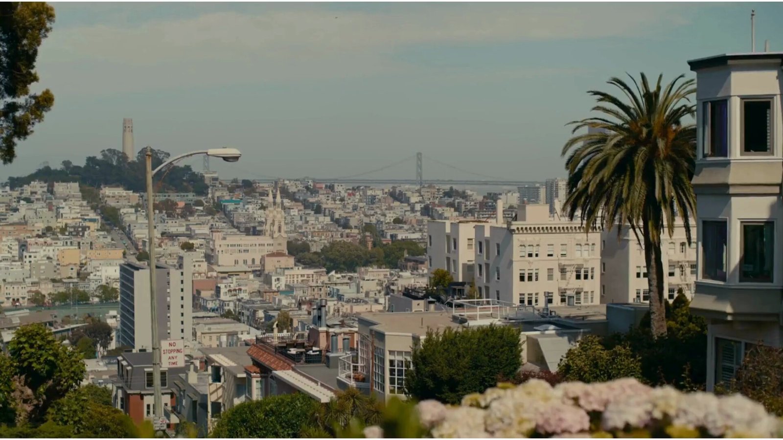San Francisco Proper Hotel — backstory