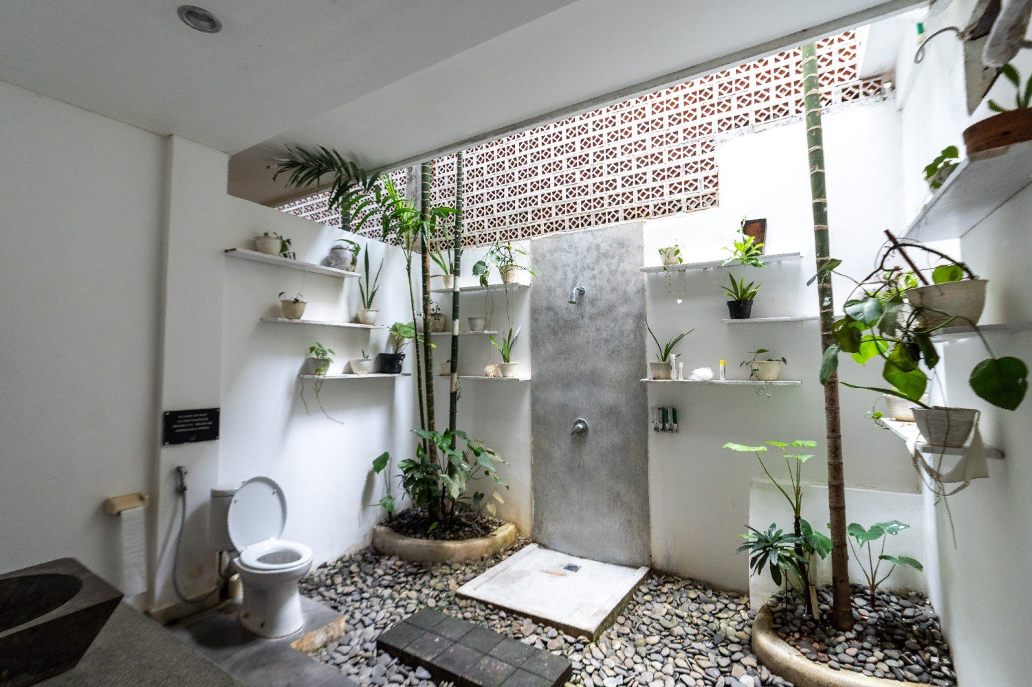 The Farm Hostel — vibe