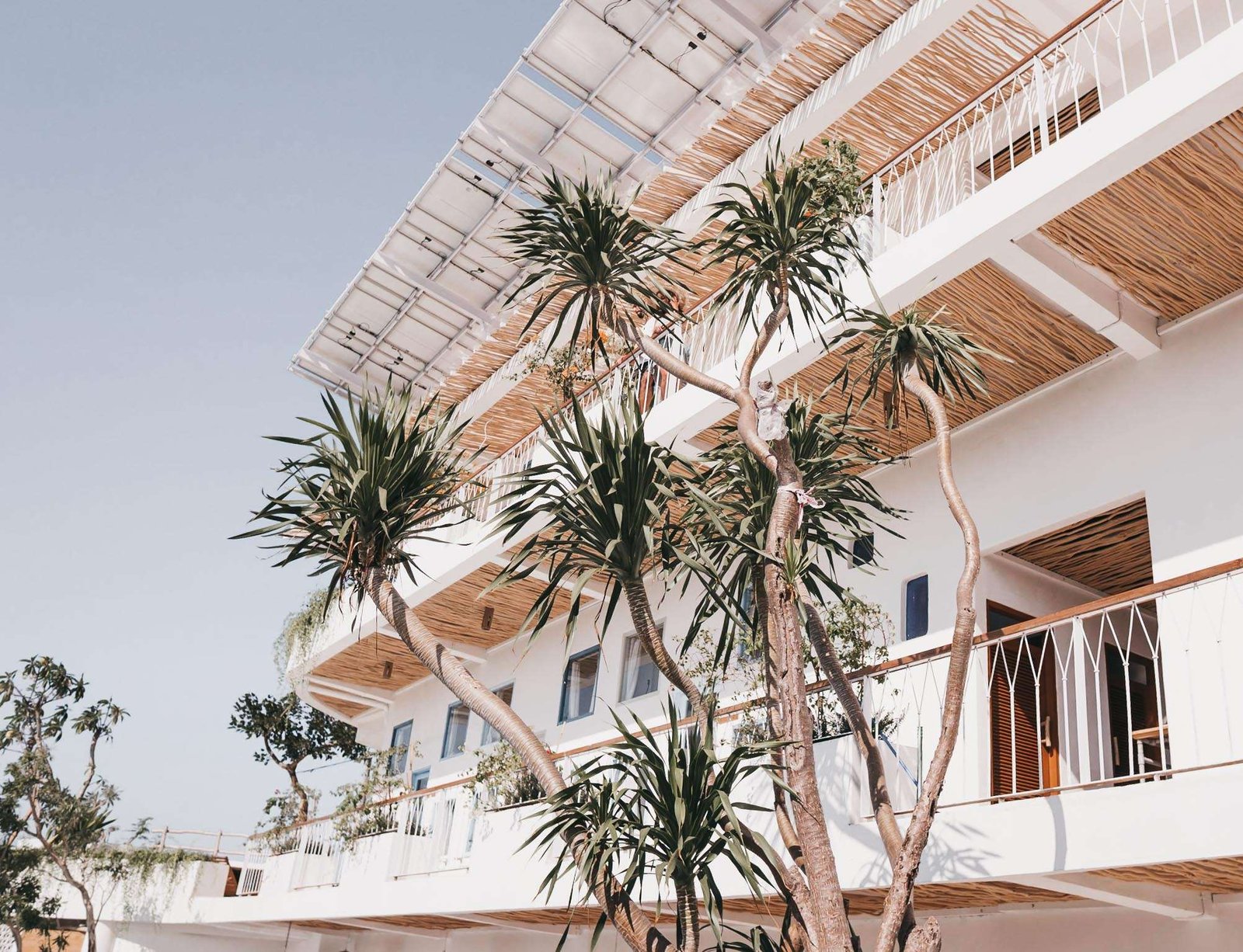 Kos One Hostel — backstory