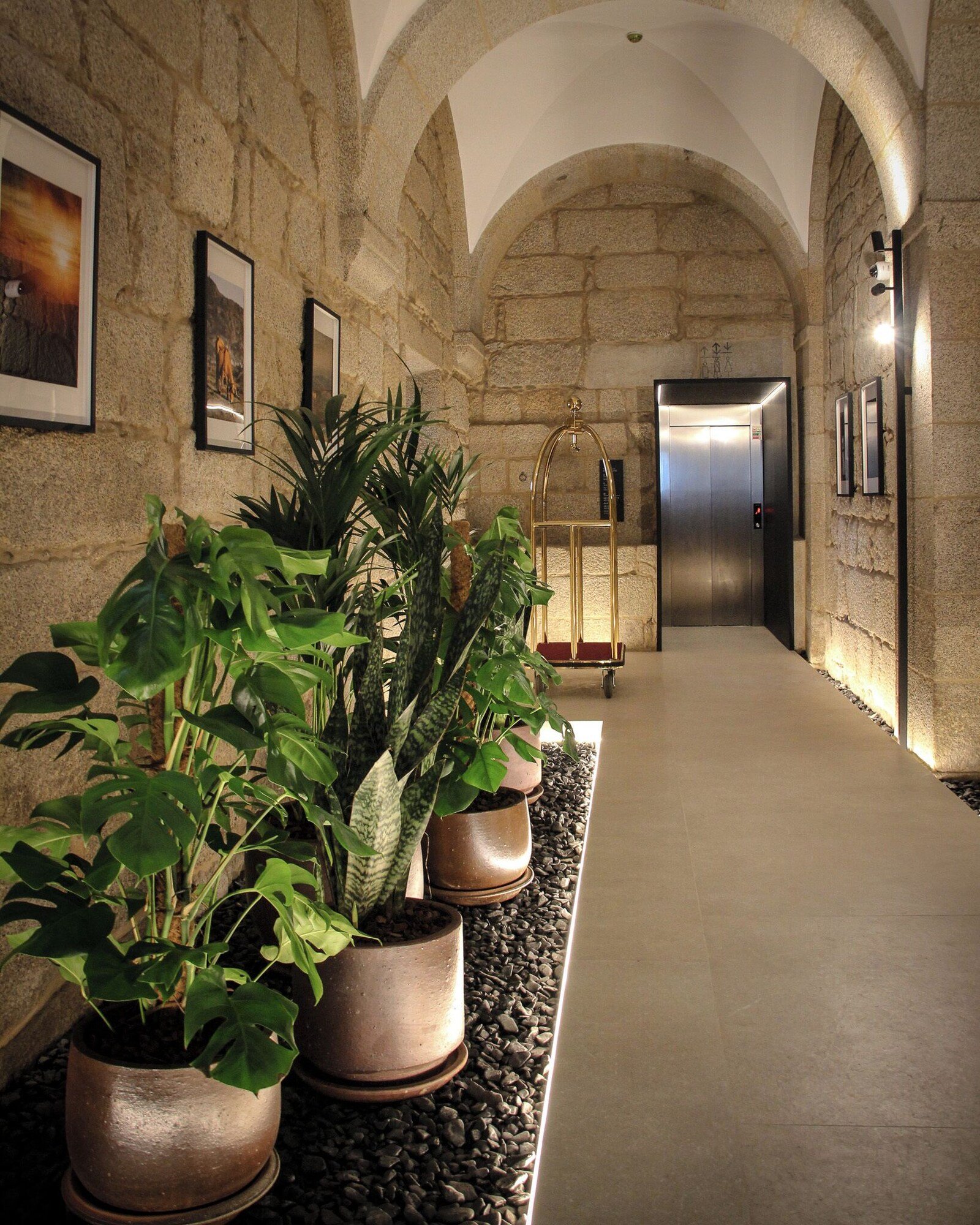 MS Collection Arouca - Mosteiro de Arouca — vibe