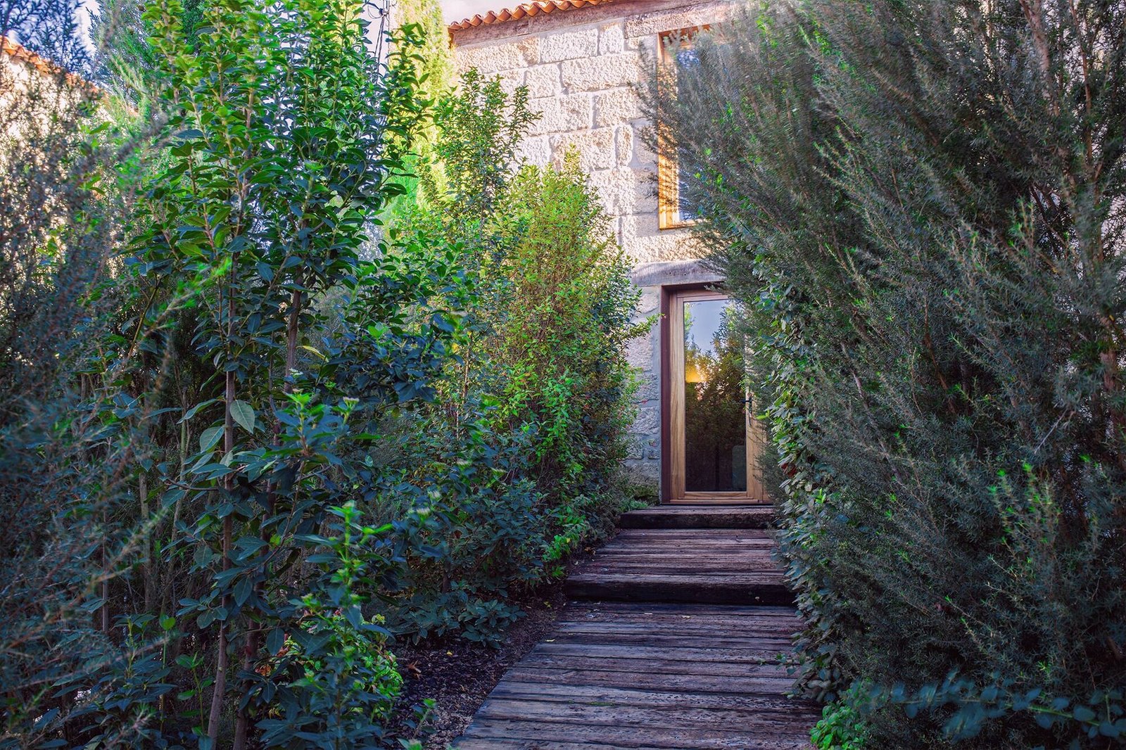 Lavandeira Douro Nature & Wellness — backstory