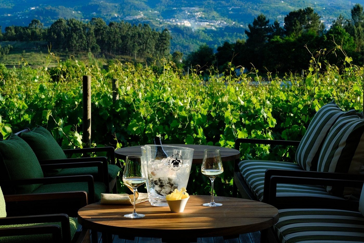 Lavandeira Douro Nature & Wellness, at the table