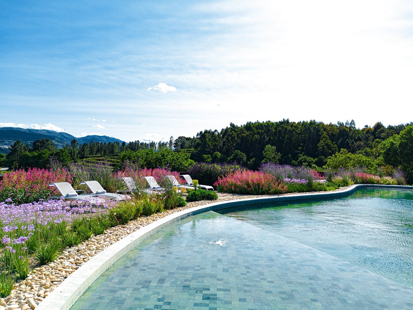 Lavandeira Douro Nature & Wellness — wellness