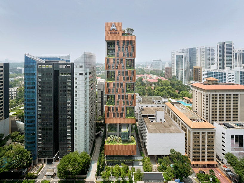 Artyzen Singapore — backstory