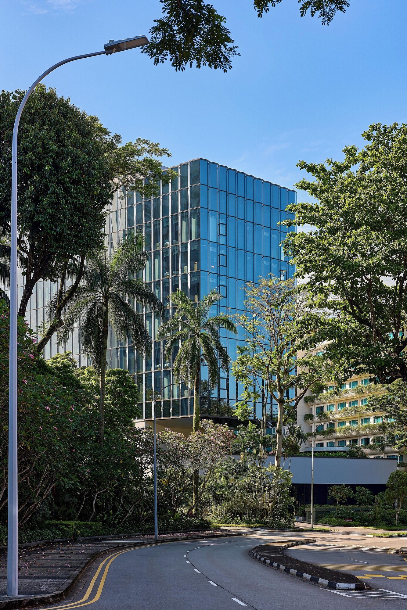 The Standard, Singapore — backstory