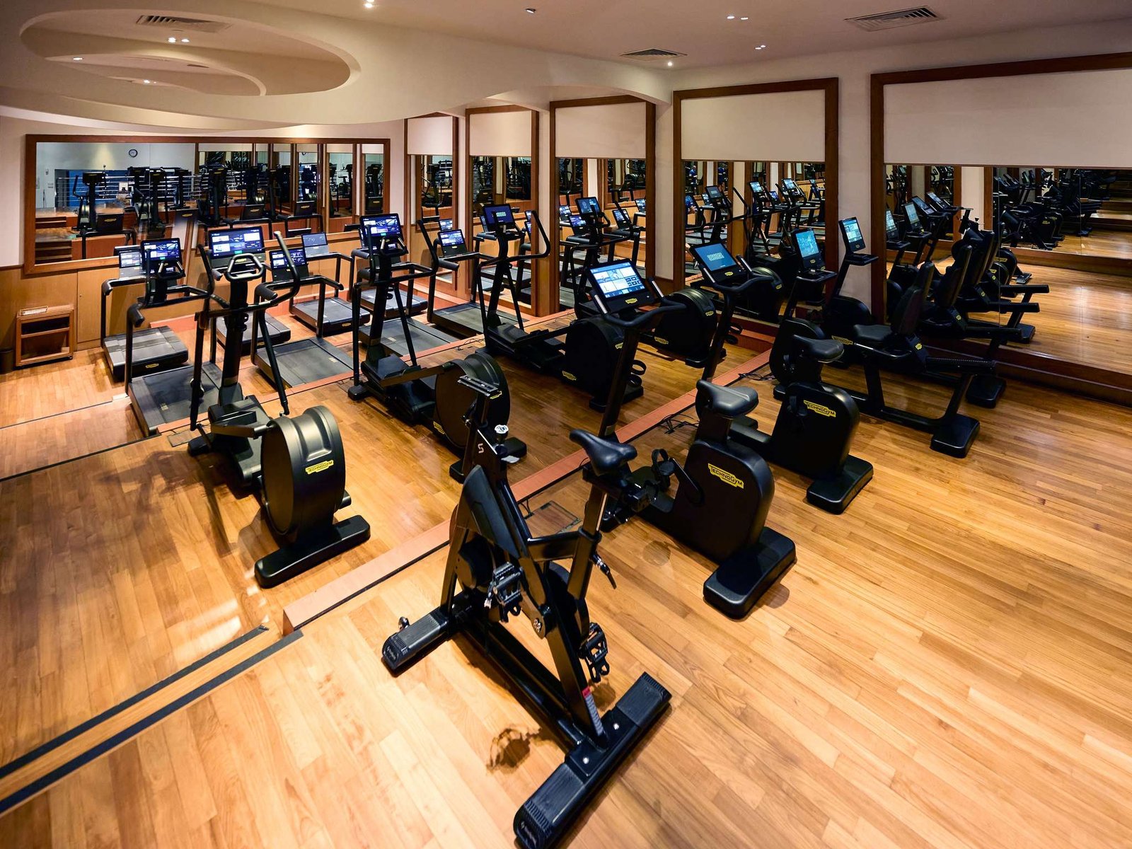 Swissôtel The Stamford Singapore — wellness