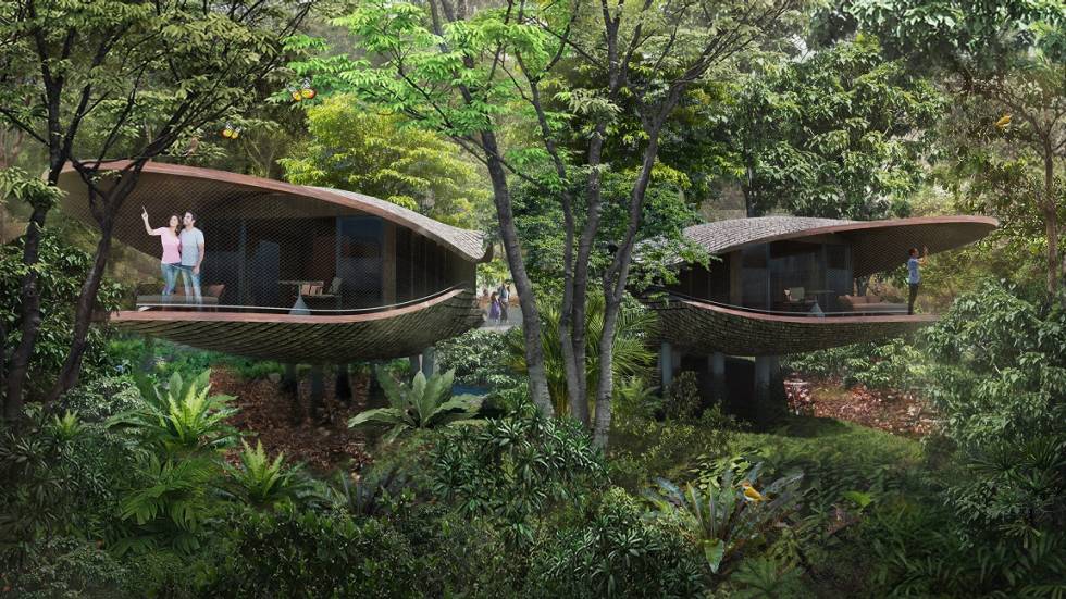 Mandai Rainforest Resort by Banyan Tree — vibe