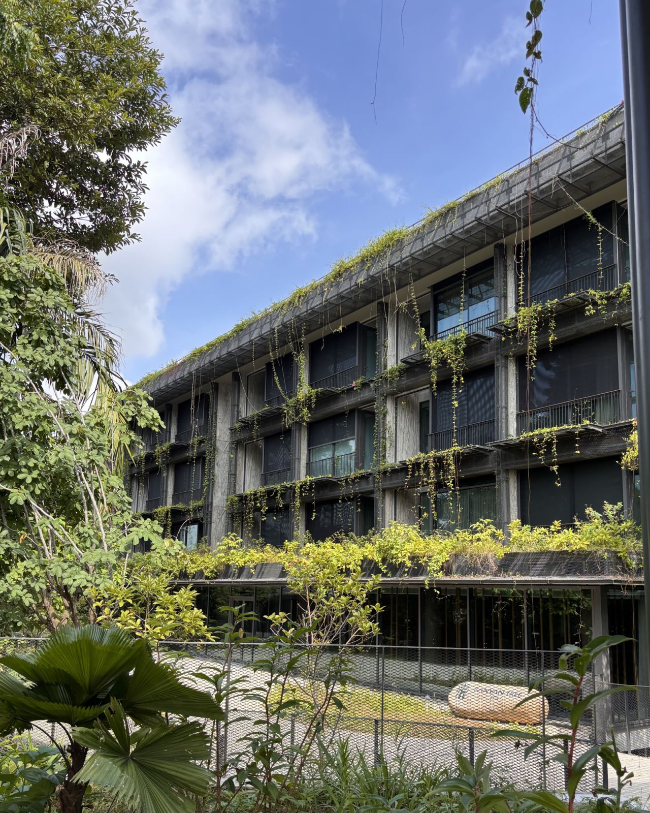 Mandai Rainforest Resort by Banyan Tree — backstory
