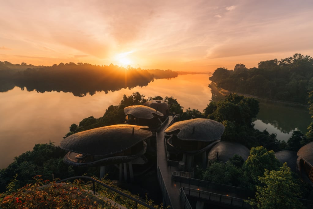 Mandai Rainforest Resort by Banyan Tree — wellness